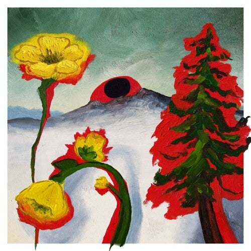 Woods: Strange To Explain ( Vinyl )
