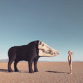 Man Man: Dream Hunting In The Valley Of The In-between ( Vinyl )