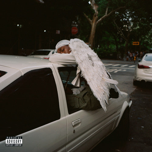 Blood Orange: Negro Swan ( Vinyl )
