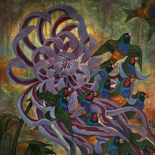 Covet: Technicolor ( Vinyl )
