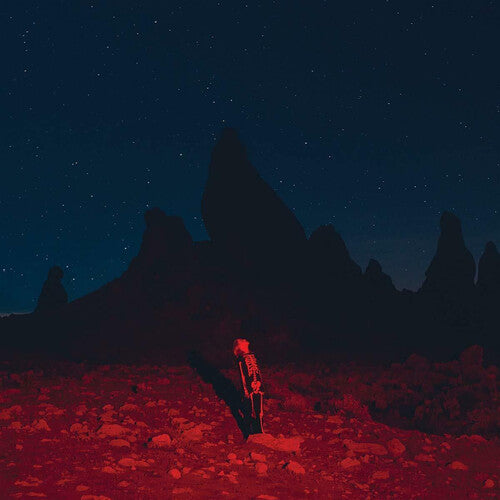Phoebe Bridgers: Punisher ( Vinyl )
