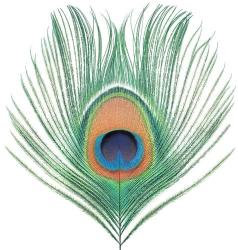 XTC: Apple Venus Vol 1 ( Vinyl )