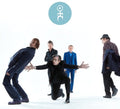 Einsturzende Neubauten: Alles In Allem ( Vinyl )