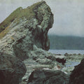Motorama: Many Nights ( Vinyl )