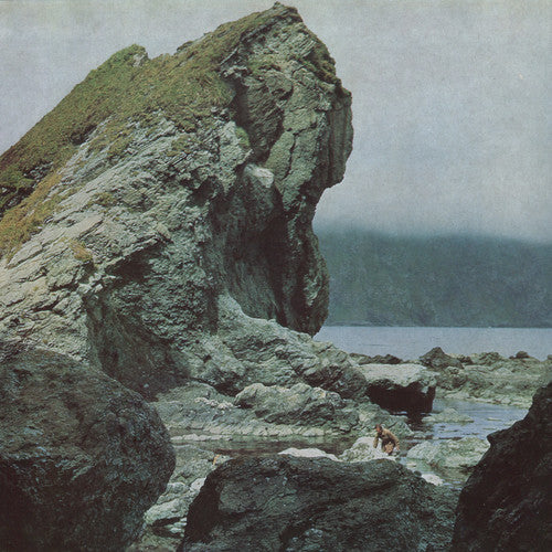 Motorama: Many Nights ( Vinyl )