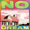 Jeff Rosenstock: No Dream ( Vinyl )