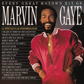 Marvin Gaye: Every Great Motown Hit Of Marvin Gaye: 15 Spectacular Performances ( Vinyl )