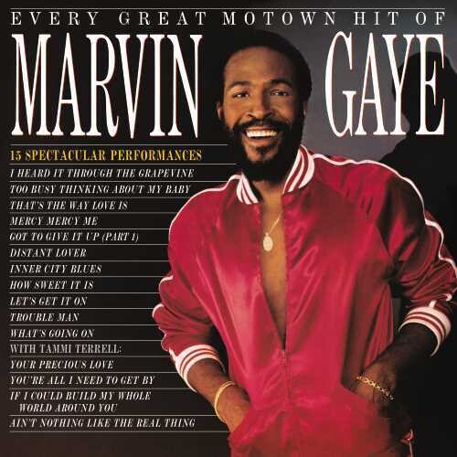 Marvin Gaye: Every Great Motown Hit Of Marvin Gaye: 15 Spectacular Performances ( Vinyl )