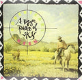 Robert Earl Keen: Bigger Piece Of Sky ( Vinyl )