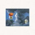 Blake Mills: Look ( Vinyl )