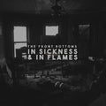 The Front Bottoms: In Sickness & In Flames ( Vinyl )