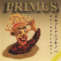 Primus: Rhinoplasty ( Vinyl )
