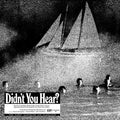 Mort Garson: Didn't You Hear? ( Vinyl )