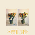 Emmy the Great: April ( Vinyl )