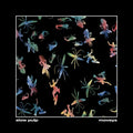 Slow Pulp: Moveys ( Vinyl )