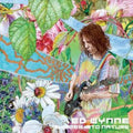Ed Wynne: Shimmer Into Nature ( Vinyl )