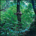 Tomberlin: Projections ( Vinyl )