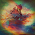 Mr. Gnome: The Day You Flew Away ( Vinyl )