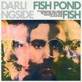 Darlingside: FISH POND FISH ( Vinyl )