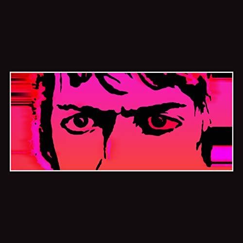 Delicate Steve: Till I Burn Up ( Vinyl )