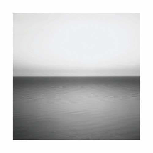 U2: No Line On The Horizon ( Vinyl )