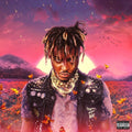 Juice Wrld: Legends Never Die ( Vinyl )
