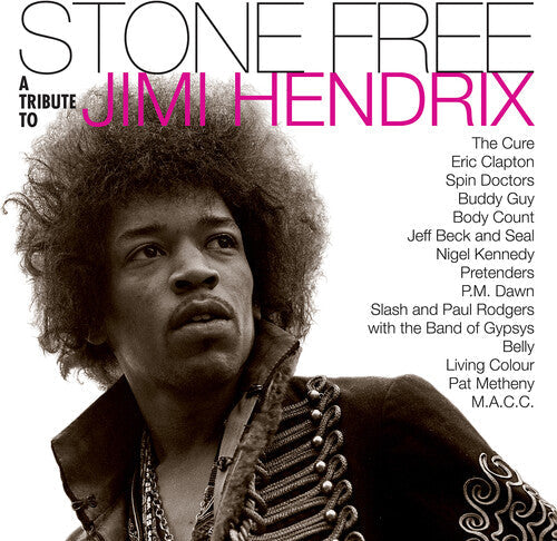 Jimmy Tribute Hendrix: Stone Free: Jimi Hendrix Tribute ( Vinyl )