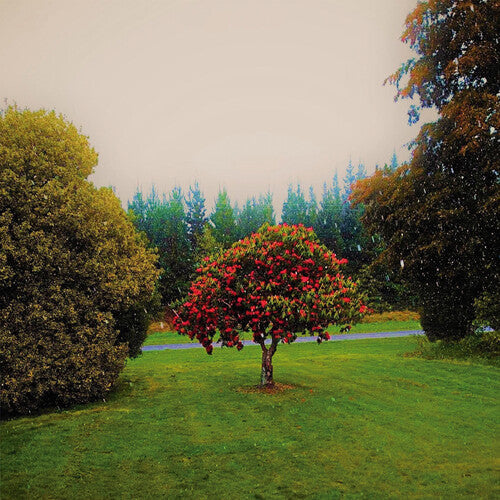 The Bats: Foothills ( Vinyl )