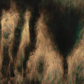 William Basinski: Lamentations ( Vinyl )