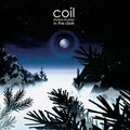 Coil: Musick To Play In The Dark ( Vinyl )