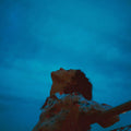 Leon: Apart ( Vinyl )