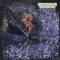 Of Feather & Bone: Sulfuric Disintegration ( Vinyl )