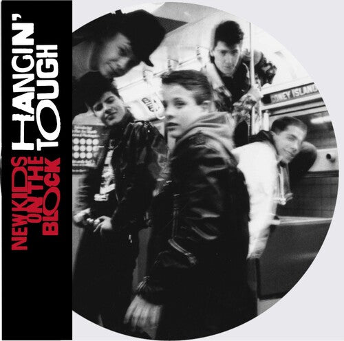 New Kids on the Block / Nkotb: Hangin' Tough (Ltd Picture Disc) ( Vinyl )