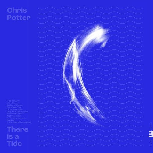 Potter, Chris: There Is A Tide ( Vinyl )