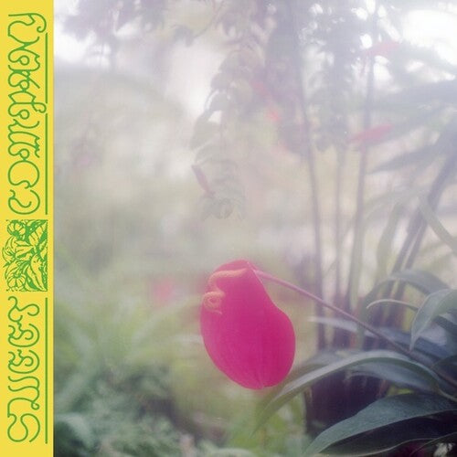 Jabu: Sweet Company ( Vinyl )