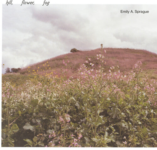Emily a Sprague: Hill, Flower, Fog ( Vinyl )