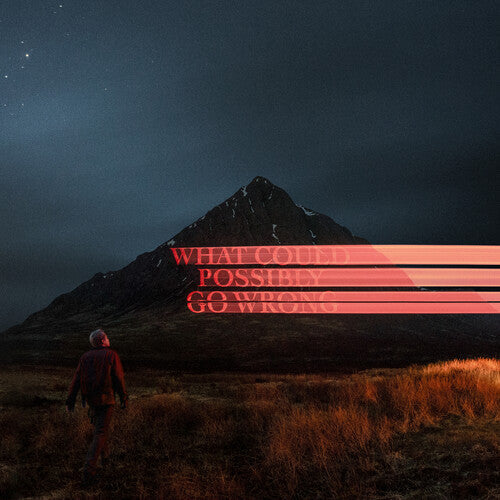 Dominic Fike: What Could Possibly Go Wrong ( Vinyl )