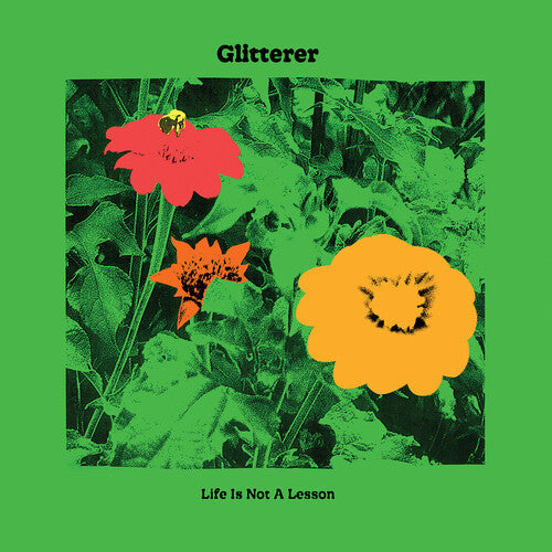 Glitterer: Life Is Not A Lesson ( Vinyl )