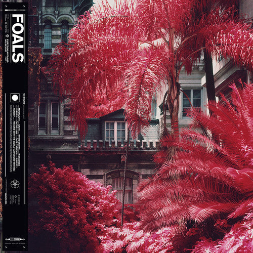 Foals: Everything Not Saved Will Be Lost (part 1) ( Vinyl )
