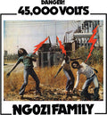 Ngozi Family: 45,000 Volts ( Vinyl )