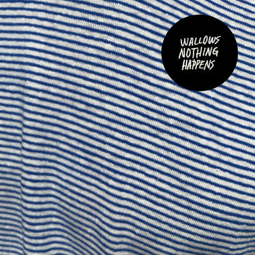 Wallows: Nothing Happens ( Vinyl )