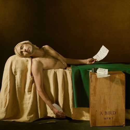 Andrew Bird: My Finest Work Yet ( Vinyl )