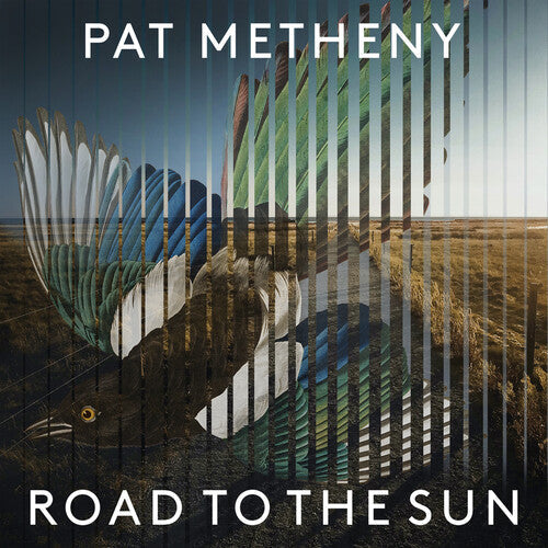 Pat Metheny: Road To The Sun ( Vinyl )