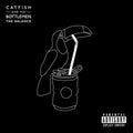 Catfish & the Bottlemen: The Balance ( Vinyl )