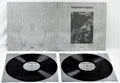 Paysage D'Hiver: Steineiche ( Vinyl )