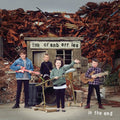 The Cranberries: In The End ( Vinyl )