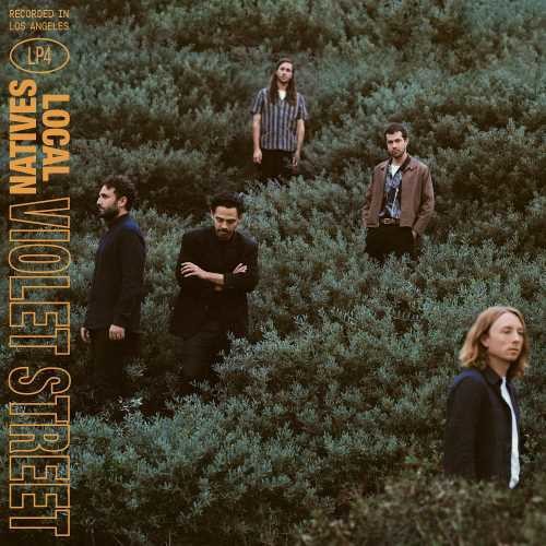 Local Natives: Violet Street ( Vinyl )