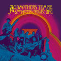 Acid Mothers Temple & the Melting Paraiso U.F.O.: Acid Mothers Temple & Melting Paraiso U.F.O. ( Vinyl )