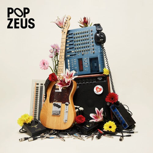 Pop Zeus: This Doesn't Feel Like Home (Unreleased Demos 2011-2014) ( Vinyl )