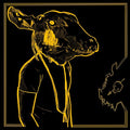 Shakey Graves: Roll The Bones X (Gold & Black Vinyl) ( Vinyl )